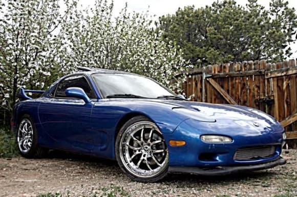 fd in front of cherry blossom