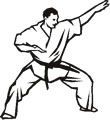 sport karate133 th