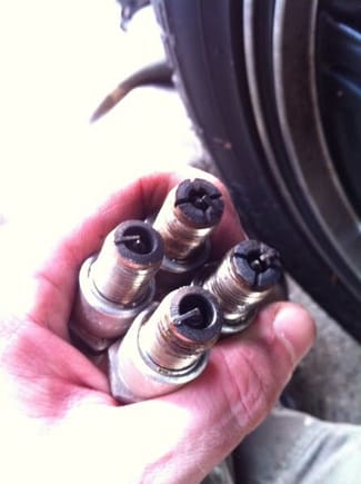 Removed Plugs
