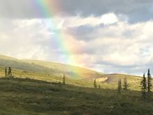 Beautiful bright rainbow 