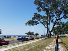 The view from the back of the Registration tent.