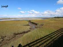 View from another boardwalk. Marshy area on the sides, gorgeous sand bars and beach in the distance.