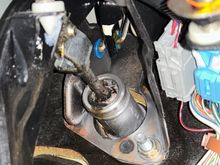 By the looks of it, this seal has had it!