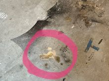 Small wet spot on my garage. I’ve noticed at my parking spot at work too.