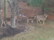 Taken with the iPad through a dirty window...
