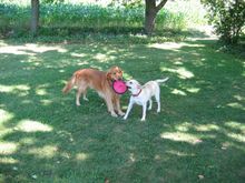 maggie and buster5