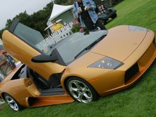 IMG_6730a.jpg