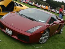 IMG_6772a.jpg