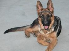 Rogue on 9-16-04