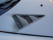 DSC00603.JPG