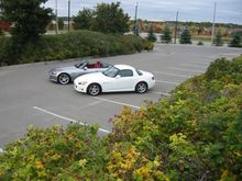 IMG_4924.jpg