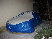 163-6382_IMG.JPG