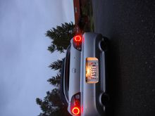 DSC_1875.JPG