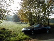 AutumnMorning1.JPG