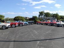 T-Bird Pics