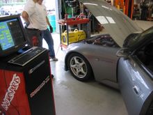 IMG_1010.jpg