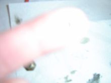 DSC03752.JPG