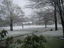 April 24 2005