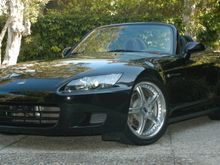 DSC_1613.JPG