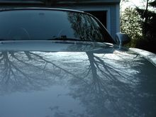 Just Washed I.JPG