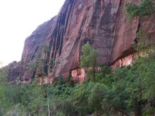 IMG_0265.jpg