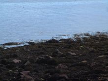 Arran III 039.jpg