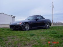 TIMS PICTURES 063.jpg
