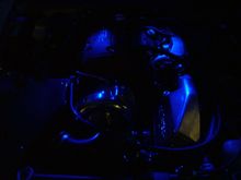 wanker lights 006.jpg