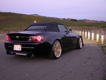 Rear.jpg