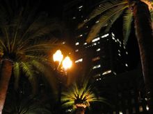 Picture 124.jpg