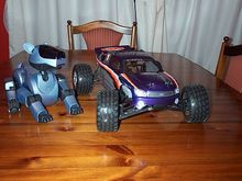 aibo