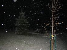 *New* Snowfall