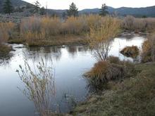 051022 So. Fork of Kern 4149.JPG