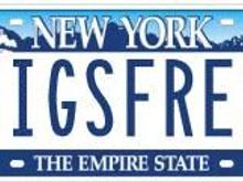 plate3.JPG