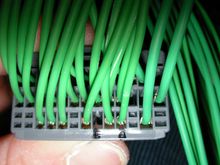 harness 003.jpg