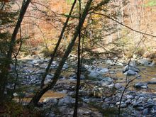 Dsc02761.jpg