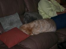 Img_0086.jpg