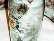 cat in a bottle.JPG