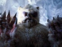 Wampa.jpg