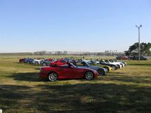 115 036 (Medium).jpg