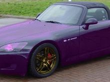 Black_Gold2URPLE.jpg