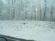 IMG_1557.JPG