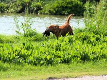 IMG_3689.JPG