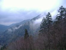 DSCF0718.JPG