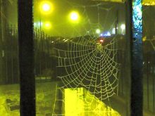 picture001.jpg
