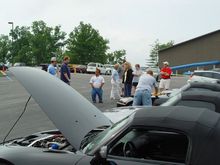 DSC08547.JPG