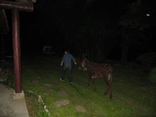 IMG_0478.JPG