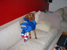 IMG_0395.JPG