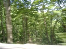 Drive action 5.jpg