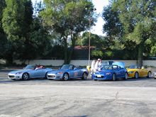 IMG_2564s.jpg